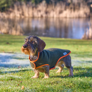 Hundemantel Dackel Loden Handarbeit     - von Leopold's kaufen bei leopolds-finest