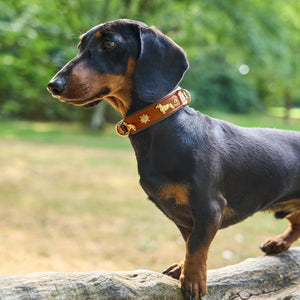 Hundehalsband Dackel     - von Leopold's kaufen bei leopolds-finest