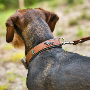 Hundehalsband mit Dackeln     - von Maul Ledermanufaktur kaufen bei leopolds-finest