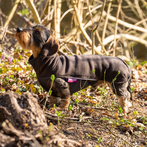 Hundepullover Dackel     - von Pomppa kaufen bei leopolds-finest