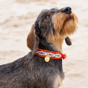 Hundehalsband Dackel handgeknüpft     - von Stilhütte kaufen bei leopolds-finest