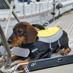 Schwimmweste kleine Hunde     - von Alcott kaufen bei leopolds-finest