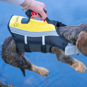 Schwimmweste kleine Hunde     - von Alcott kaufen bei leopolds-finest