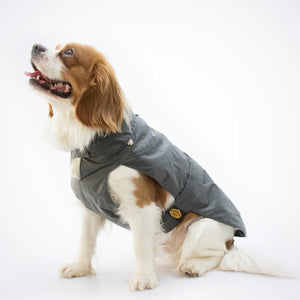 Hunde Regenmantel für kleine Hunde     - von Fashion Dog kaufen bei leopolds-finest